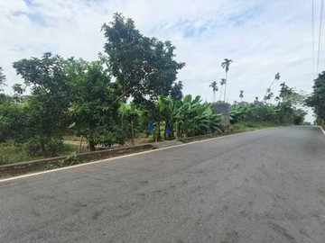 專嘉義番路鄉 大馬路旁 都內農地 (袋地)｜嘉義縣番路鄉內甕段