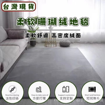 【台灣】珊瑚絨地毯 客廳地毯 簡約現代茶幾墊 短毛絨地毯 地毯 地墊 床邊地毯 房間家用大地毯 長毛地毯