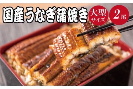 大型サイズ　ふっくら柔らか国産うなぎ蒲焼き　２尾