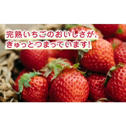 ふるさと納税 熊本県 山都町 熊本県産 冷凍イチゴ 計1.5kg 500g × 3P 山都町産 産地直送[YBI020] 120000 1…