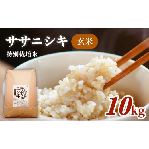 ふるさと納税 宮城県 石巻市 令和5年産 特別栽培米 ササニシキ 玄米 10kg