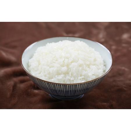 ふるさと納税 令和５年産　西予市宇和町産特別栽培米コシヒカリ10kg 愛媛県西予市