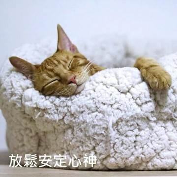 舒壓好眠3入組  安定心神：薰衣草精油甜橙精油天竺葵精油