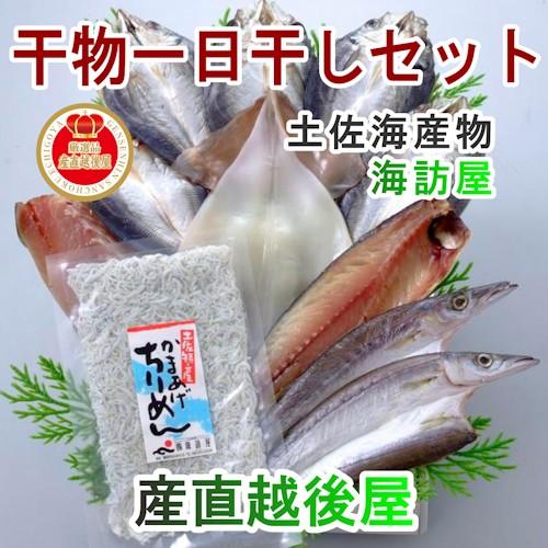 お歳暮 ギフト 魚 海産物 干物 詰合せ 高知県高知市場 土佐海産物 海訪屋 厳選１日干セット 送料無料 冷凍便でお届け