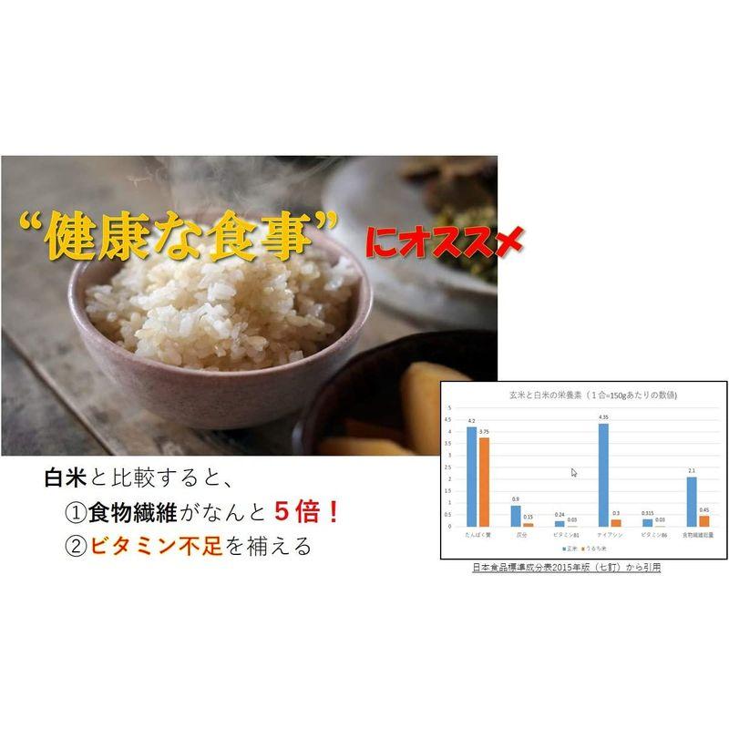 米 お米 ５ｋｇ 凄い玄米 くまモン ひのひかり 熊本県産 令和４年産