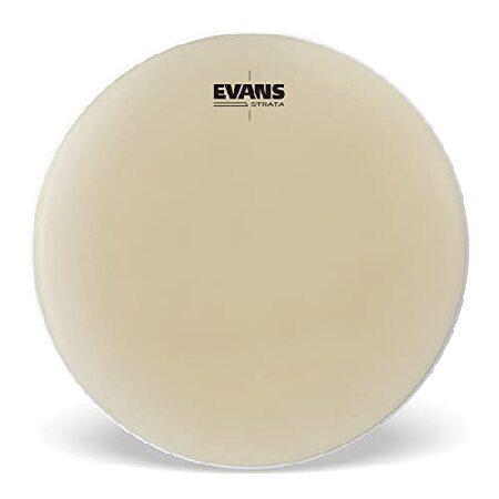 Evans Strata Series Timpani Drum Head, inch