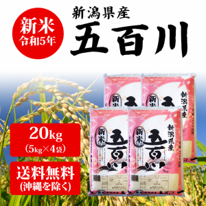  新潟県産 五百川 20kg （5kg×4袋） 米 20キロ 送料無料 お米 新米 20kg 安い 産地直