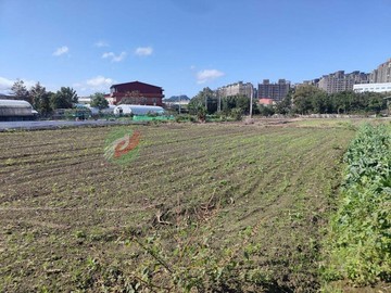 南園段 雙面臨路500農地｜新北市樹林區南園段