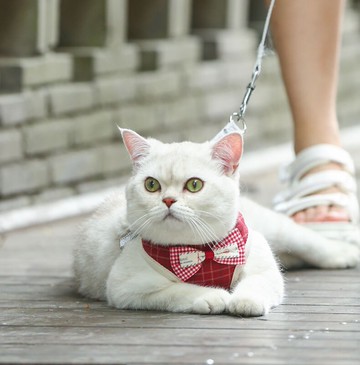 狗狗牽引繩 貓咪牽引繩溜貓胸背帶背心式遛貓繩子防掙脫家用狗狗錬子寵物專用『XY28673』