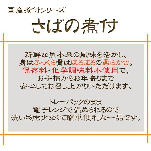 魚 国産 さばの煮付　120g×１０袋　鮮冷　保存料・化学調味料不使用