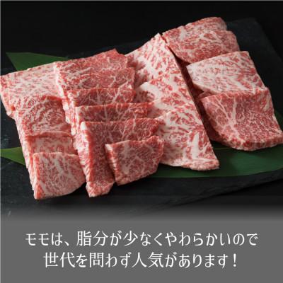 ふるさと納税 産山村 くまもと黒毛和牛・モモ焼肉用約500g