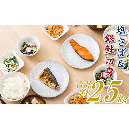 ふるさと納税 AB346.バラ凍結で便利！塩さば＆銀鮭ミックス（合計約2.5kg） 福岡県新宮町