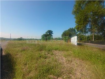 頭社前後臨路有水電優質農地34｜台南市大內區頭社