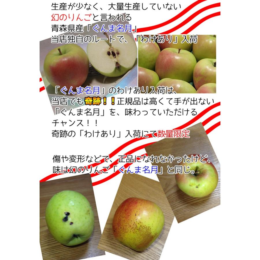 りんご 訳あり 5kg 青森県産 ぐんま 名月 約5kg 訳あり 幻のりんご 送料無料 傷あり 予約 11月下旬頃から発送開始