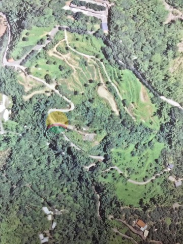 太平頭汴坑休閒農業區地主忍痛賠錢出售｜台中市太平區頭汴坑段