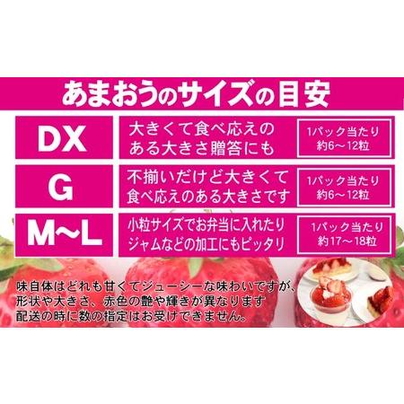 ふるさと納税 いちご あまおう 2L以上 約1.04kg（260g×4パック）配送不可 北海道 東北 沖縄 離島 福岡県朝倉市