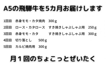 A5飛騨牛　定期便　5カ月ちょこちょこお届け（焼肉・すき焼き　ほか）☆