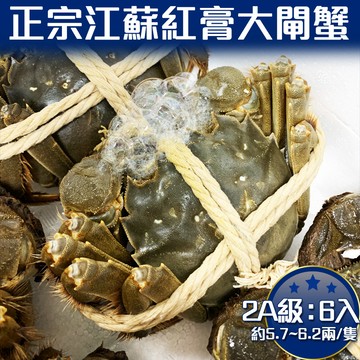 RealShop 正宗活體江蘇紅膏大閘蟹 2A級(5.7~6.2兩)/6隻入