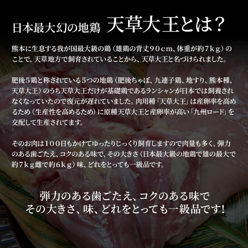 天草大王 熊本産 精肉セット 750g以上 モモ・ムネ 各1枚 送料無料 お取りよせ 贈り物 ギフト 天草 地鶏 ご家庭用 お中元 お歳暮 敬老の日