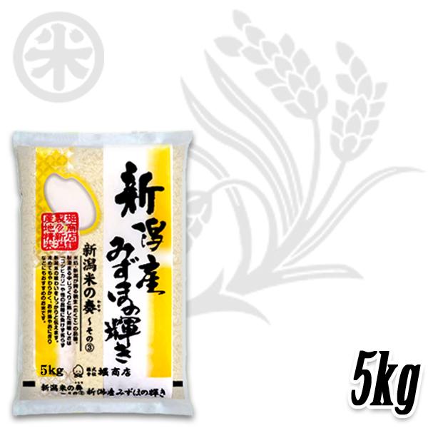 [新米 令和5年産] 新潟産みずほの輝き 新潟米の奏(3) 5kg (5kg×1袋) 米蔵推奨米 新潟米 お米 送料無料 ギフト対応