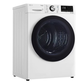 LG 10公斤熱泵除濕式免曬衣乾衣機 WR-100VW