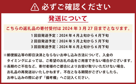  くまもとの すいか 食べ比べ 定期便 合計5玉 スイカ 果物 くだもの フルーツ