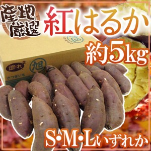 ”紅はるか” 秀品 S・M・Lサイズ 約5kg 産地厳選 さつまいも 送料無料