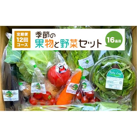 ふるさと納税  季節の果物と野菜セット 16品目 熊本県八代市