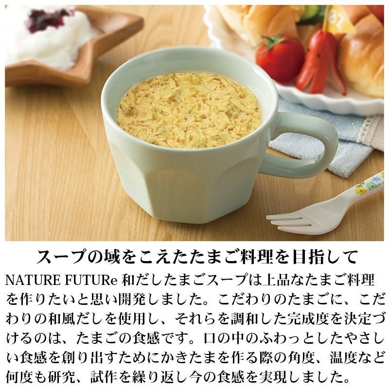 フリーズドライ スープ 10食 (5種類×各2個) お試し セット Nature Future 非常食 インスタント食品 コスモス食品