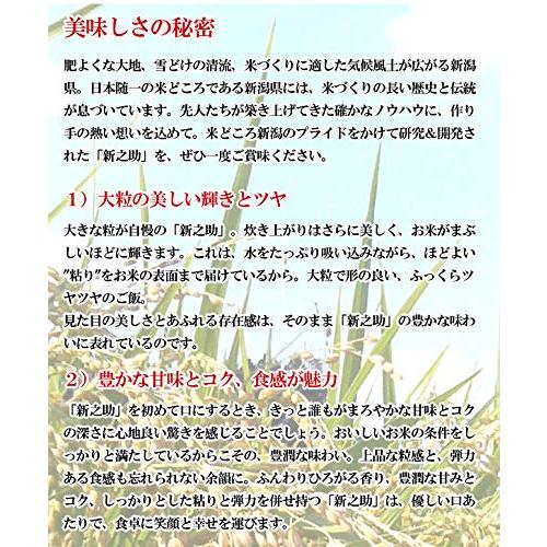 新米 令和5年産 新潟県長岡産新之助 5kg 新潟から産地直送 五ツ星お米マイスター推奨米