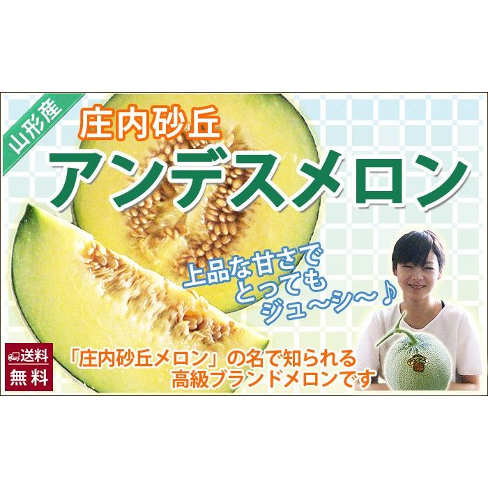 メロン 食べくらべセット アンデスメロン 紅花メロン秀３Ｌ 各2個 ４個入 庄内砂丘メロン 送料無料 お中元 山形メロン 庄内メロン 農産物 送料無料