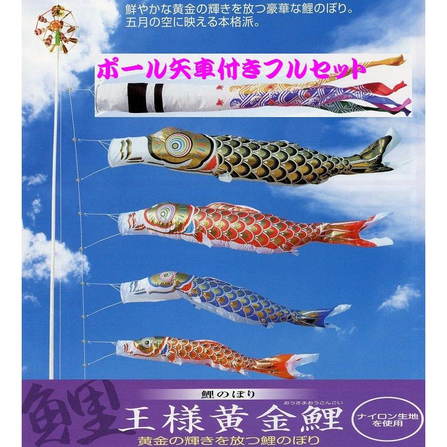 こいのぼり 庭園用 旭天竜 鯉幟 セット各種（ポール別売） 鯉5匹8点