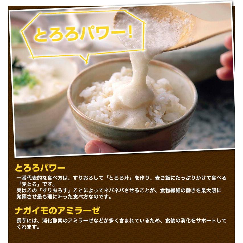 青森県産 味付とろろ 60食セット(50g x 60袋) 味付 山芋 長いも すりおろし 個包装 冷凍 クール 送料無料 Y凍