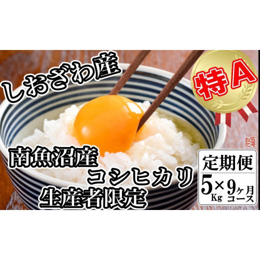 ふるさと納税 新潟県 南魚沼市 生産者限定 契約栽培 南魚沼しおざわ産コシヒカリ