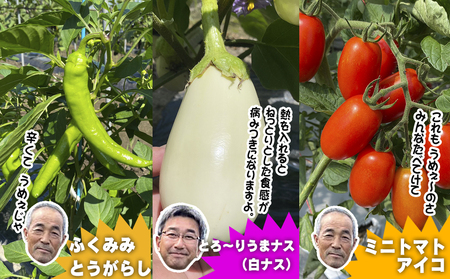 数量限定　矢巾町産　夏野菜セット7月発送