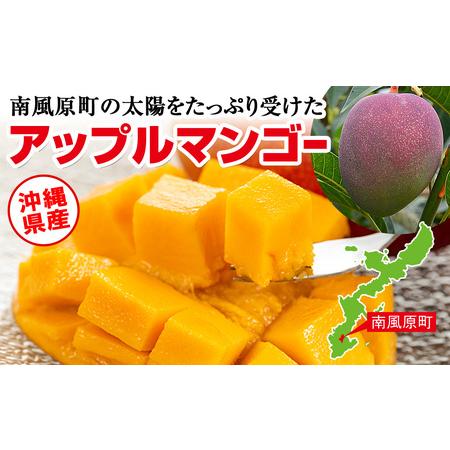 ふるさと納税 直売所で厳選　沖縄県産「完熟マンゴー」1kg 沖縄県南風原町