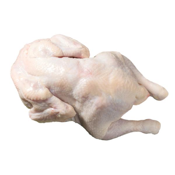 [凍]参鶏湯や白熟（水炊き）用の丸鶏 約1kg ブラジル産 韓国料理 骨付き鳥 骨付きもも肉