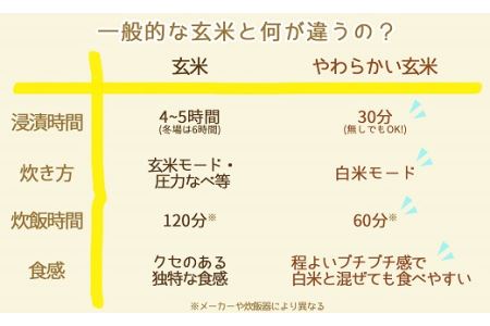 やわらかい玄米 900g ※12回定期便 安心安全なヤマトライス H074-534