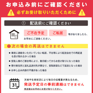 有機肥料栽培 白桃 2kg（5～9玉） 秀品 品種おまかせ 山形産 2024年産 令和6年産 山形県産 　012-B-AF007