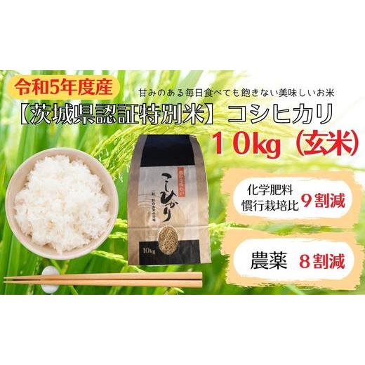 ふるさと納税 茨城県 利根町 　コシヒカリ　10kg（玄米）