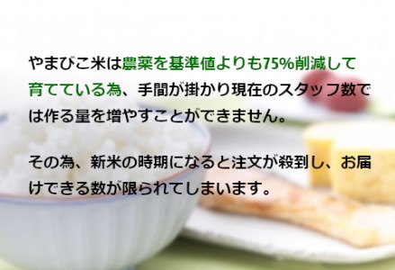 コシヒカリ「やまびこ米」5kg×8回 玄米黒酢農法 金賞受賞 特別栽培米 白米 精米 農家直送 新米は10月上旬以降配送 1P09080