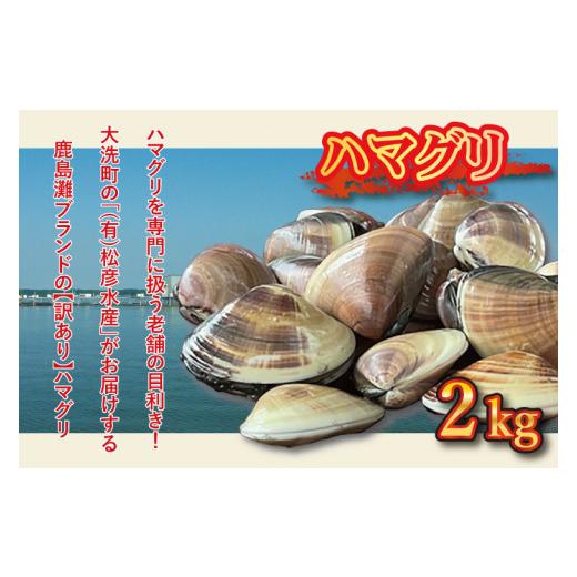 ふるさと納税 茨城県 大洗町  期間限定 鹿島灘 ハマグリ 訳あり 2kg 砂抜き済み はまぐり 蛤 わけあり 国産 天然 茨城県産 鹿島灘産 …