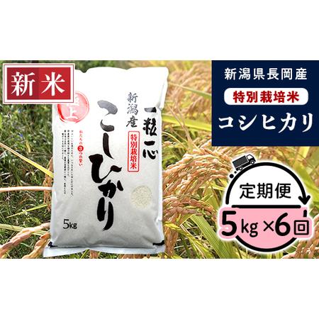 ふるさと納税 48-056新潟県長岡産特別栽培米コシヒカリ5kg 新潟県長岡市