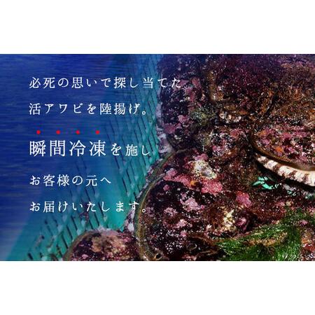 ふるさと納税 礼文島産　凍結島アワビLサイズ3個 旬凍うに食べ比べセット 北海道礼文町