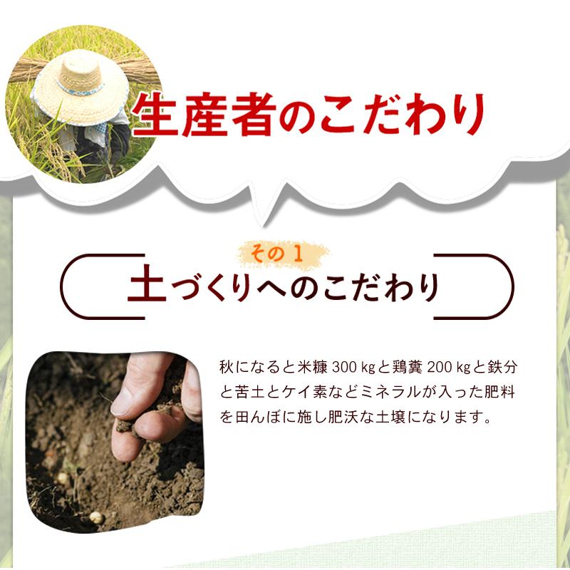 米 2kg コシヒカリ 「稲藁米」特別栽培米 減農薬（農薬使用量5割以上削減）令和5年福井県産 送料無料