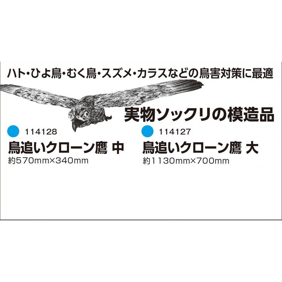 1ロ防獣　鳥追いクローン鷹　大　114127　約1130m m×700m m