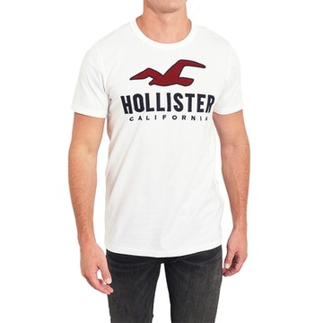 Hollister 海鷗 HCO 熱銷刺繡文字海鷗圖案短袖T恤-米白色