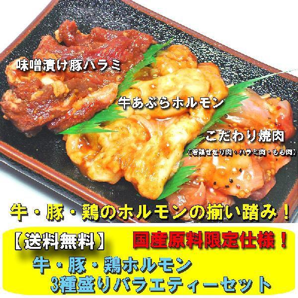 送料無料 牛・豚・鶏国産ホルモン3種盛りバラエティーセット 焼肉　バーベキュー　BBQ