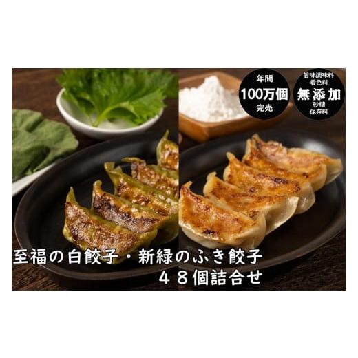 ふるさと納税 秋田県 秋田市 年間100万個完売！餃子の餃天