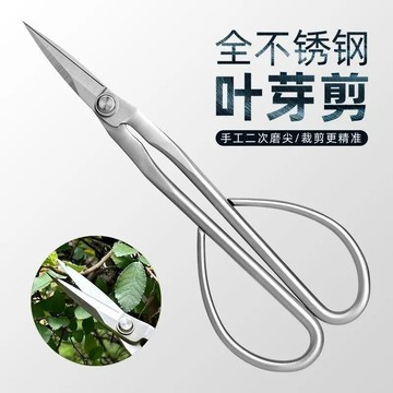 ✨星選館✨滿99出貨 全不鏽鋼園藝剪葉芽剪嫩芽剪刀插花盆景枝葉剪修枝小枝剪加厚長杆